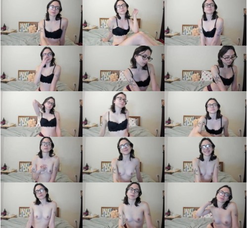 View or download file slvttywitch on 2022-12-14 from chaturbate