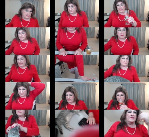 View or download file cdpamelacd on 2022-12-25 from chaturbate