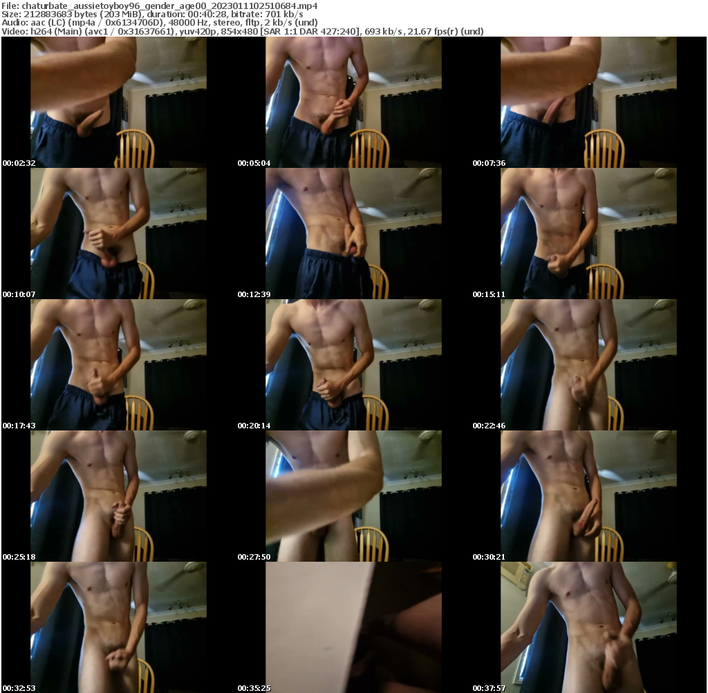 Download or Stream file aussietoyboy96 on 2023-01-11