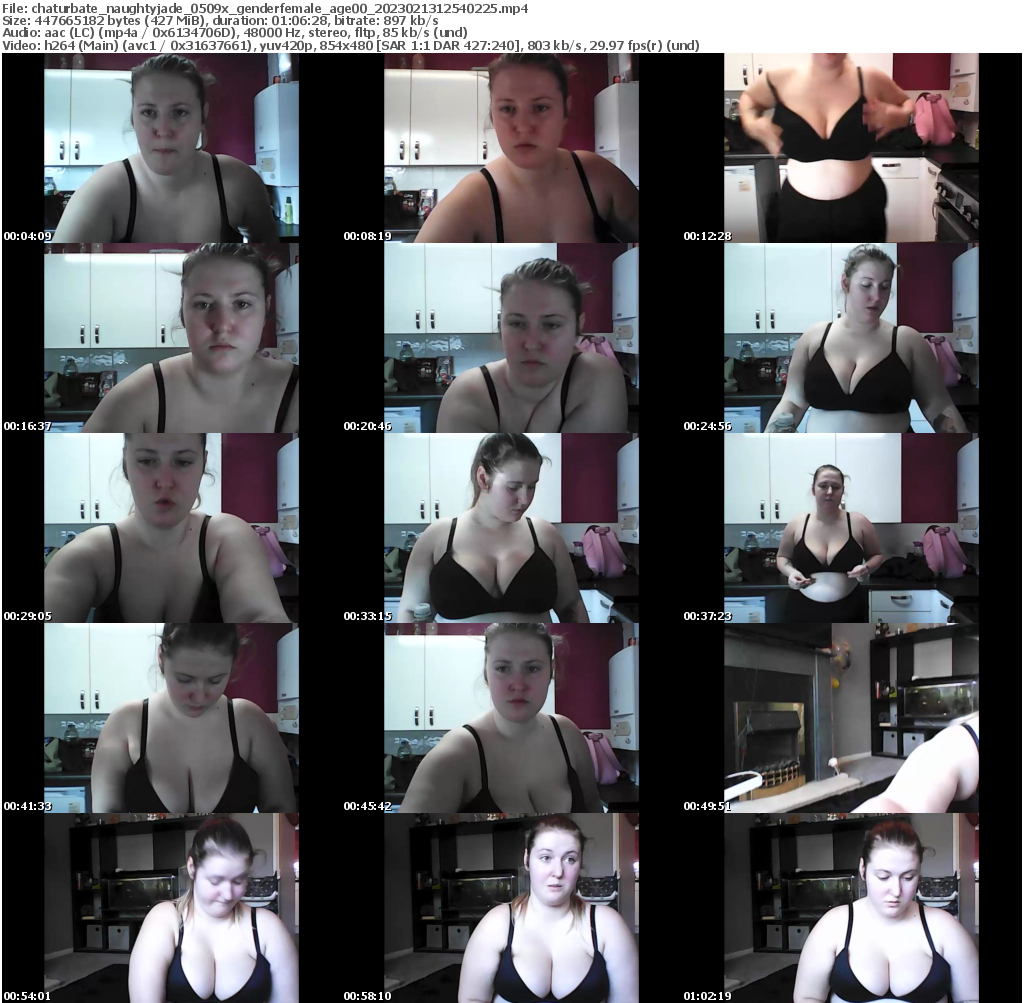 Download or Stream file naughtyjade_0509x on 2023-02-13